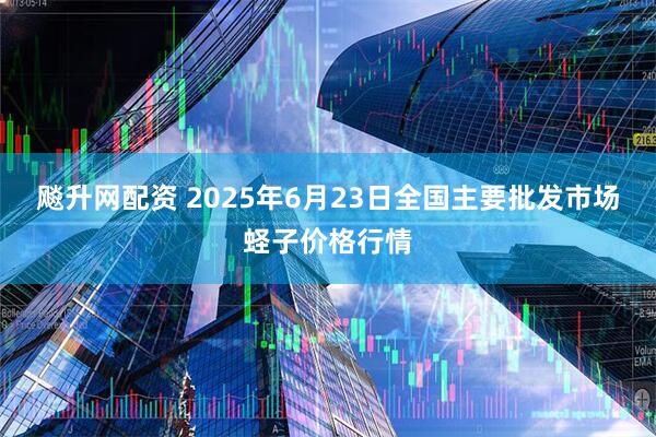 飚升网配资 2025年6月23日全国主要批发市场蛏子价格行情