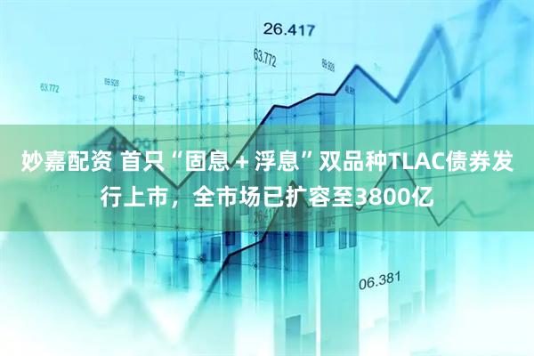 妙嘉配资 首只“固息＋浮息”双品种TLAC债券发行上市，全市场已扩容至3800亿