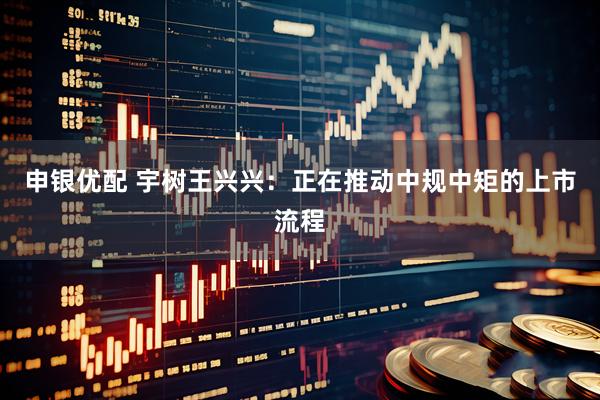 申银优配 宇树王兴兴：正在推动中规中矩的上市流程